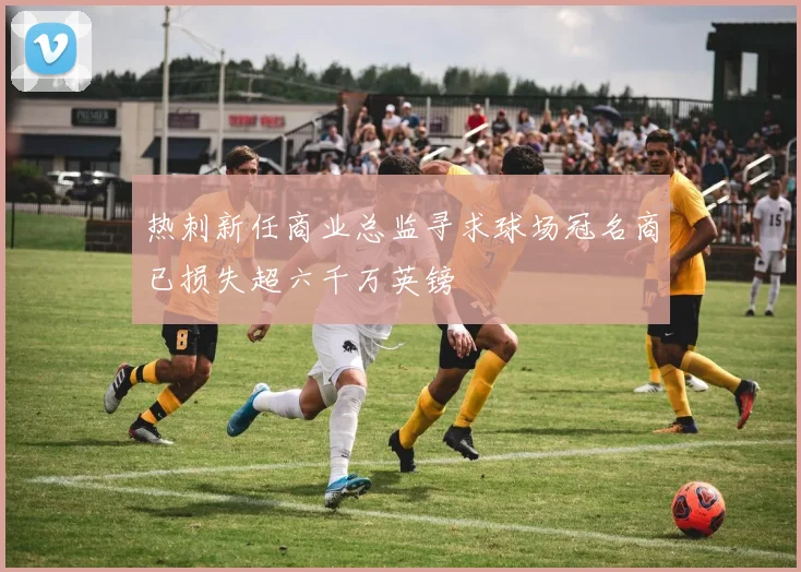 热刺新任商业总监寻求球场冠名商已损失超六千万英镑