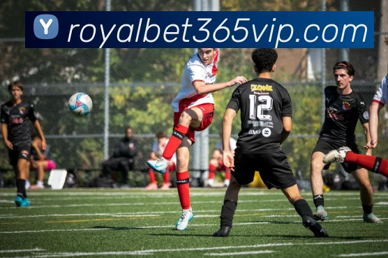 皇家体育品牌故事