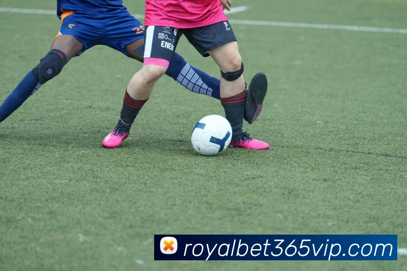 皇家体育服务体系